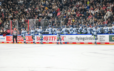 Straubing Tigers und Pinguins Bremerhaven liefern sich einen heißen Fight um die Tabellenführung