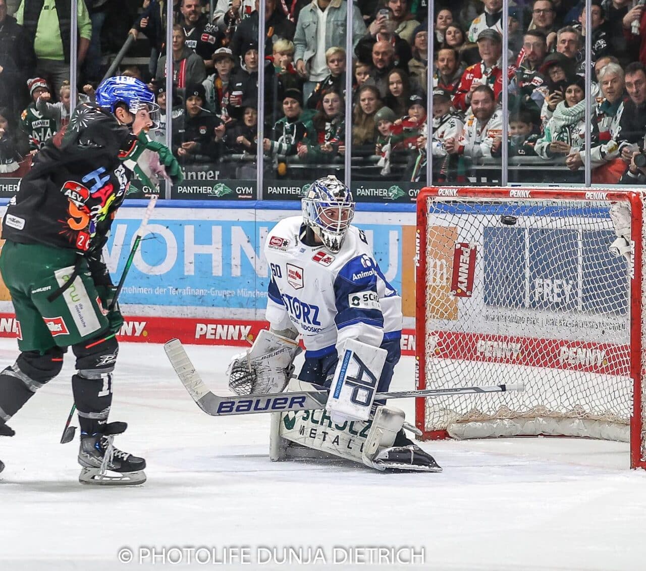 Augsburger Panther Siegreich Gegen Schwenningen - Eishockey-Online News ...