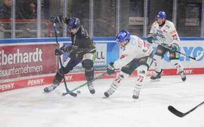 Straubing Tigers siegen erneut gegen Lieblingsgegner Augsburger Panther