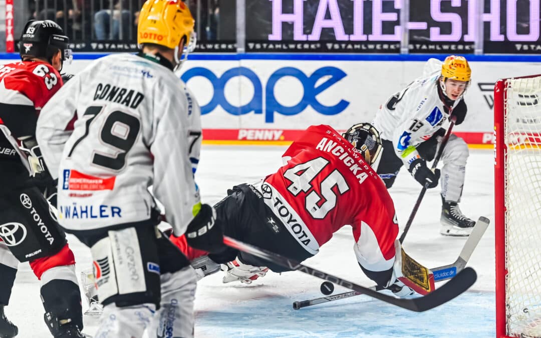 Niederlage für die Fischtown Pinguins bei den Kölner Haien