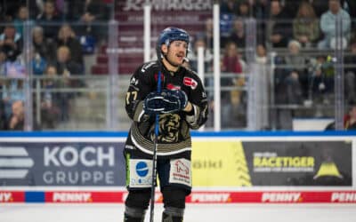 Adler Mannheim setzen die richtigen Nadelstiche in Straubing