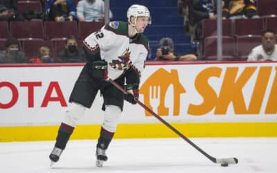 Arizona Coyotes siegen bei den Washington Capitals