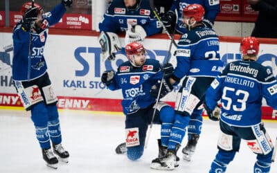 Schwenninger Wild Wings mit Shutout ins Spiel 7