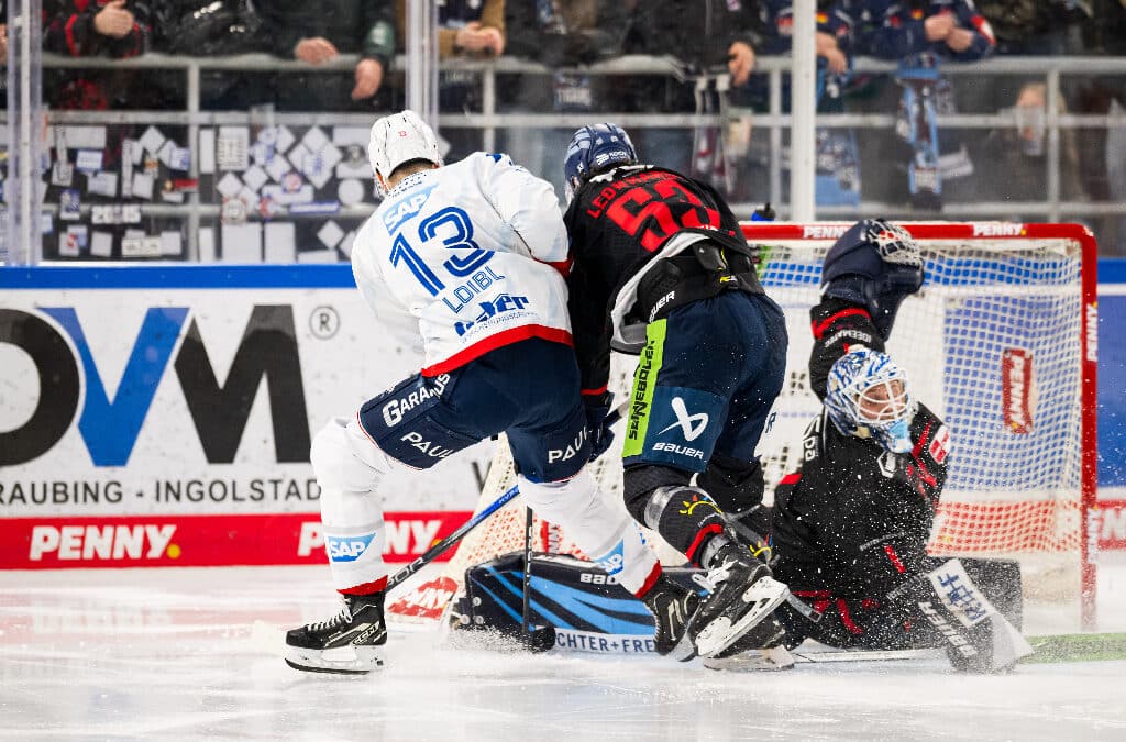 Straubing Tigers drehen Spiel gegen Adler Mannheim